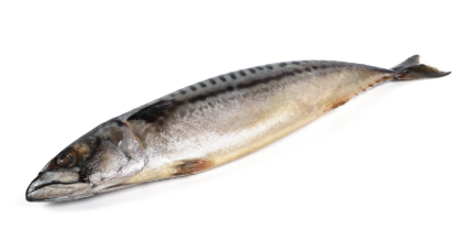 Скумбрія слабосолена, ціла з головою, ДСТУ 7812, 1кг